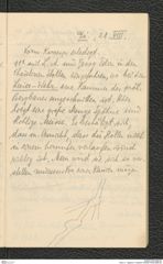 Seite 31, Tagebuch "Hallstatt" (NHMW-PRAE-BBB-90)